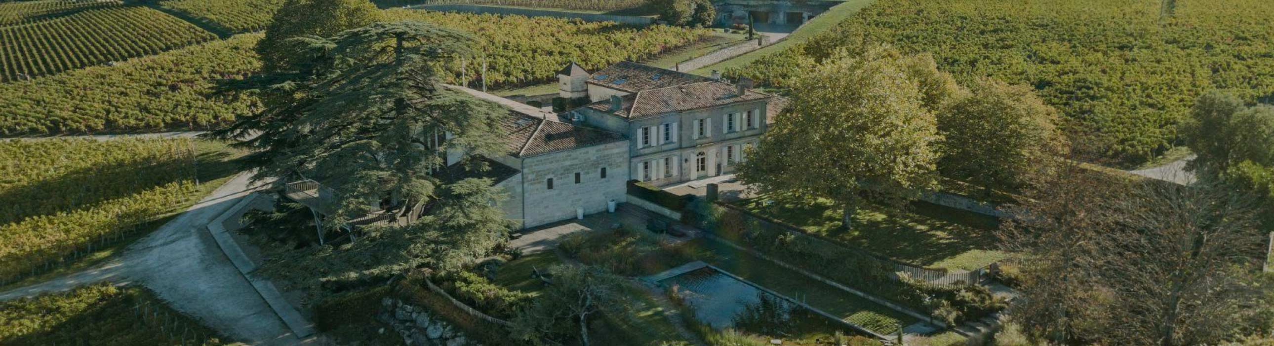 Château Franc Mayne