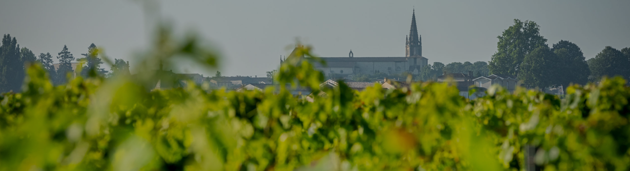 Château la Rose Pourret