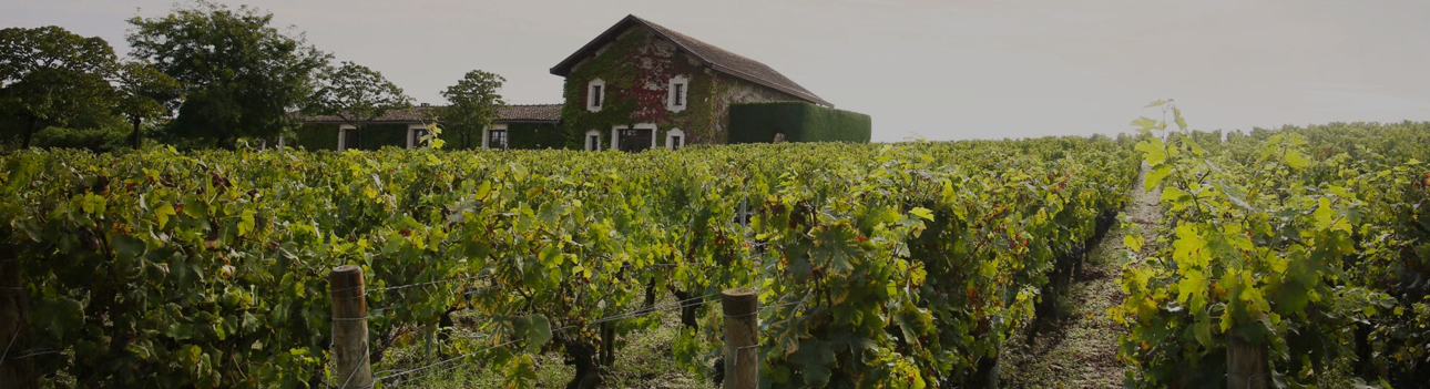 Château Malartic-Lagravière Blanc