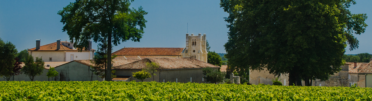 Château Potensac