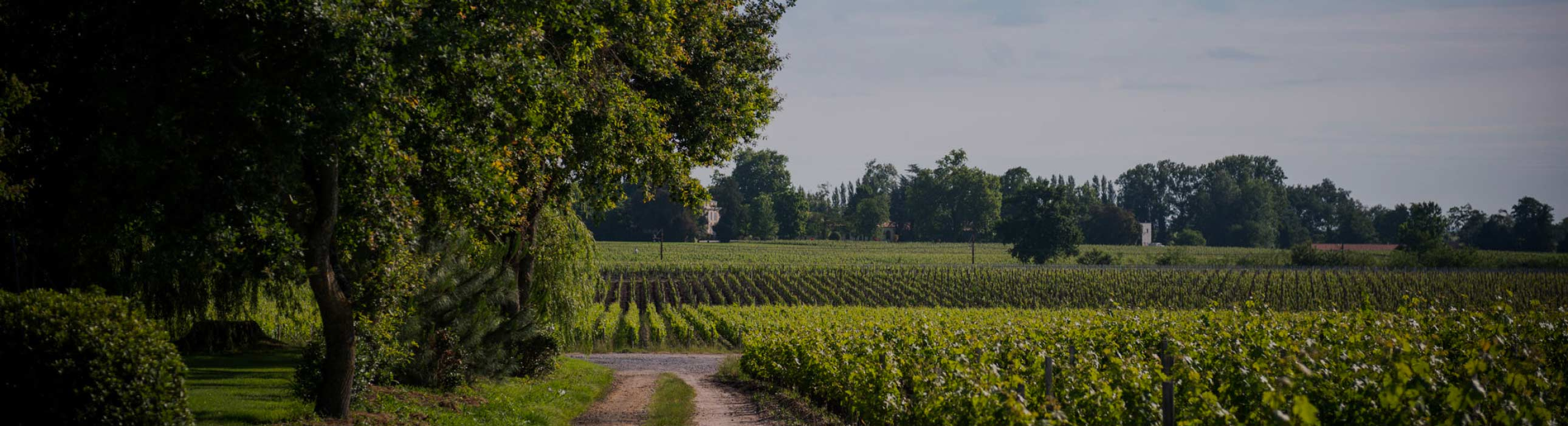 Château de Camensac