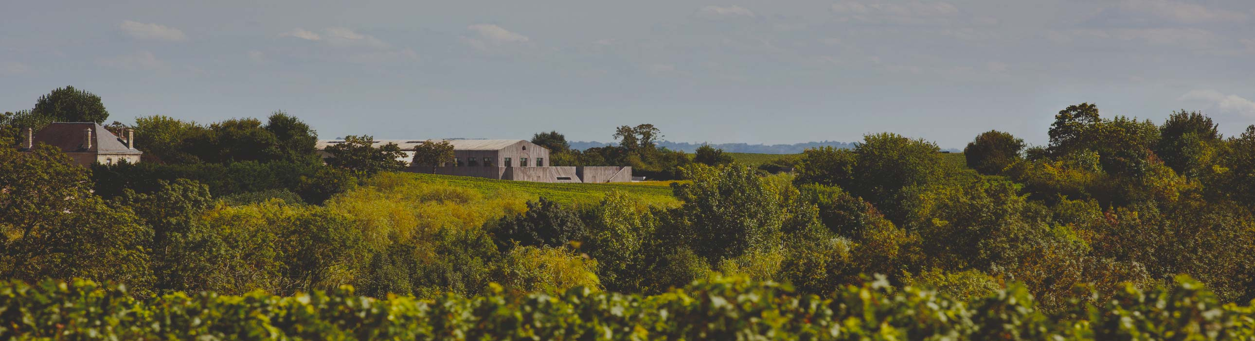 Château Clerc Milon