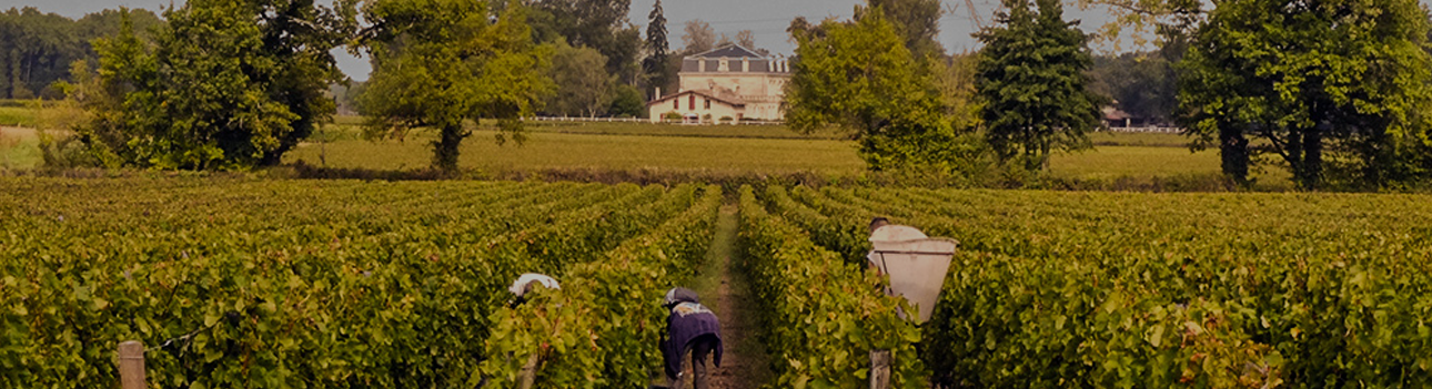 Château Ferran Blanc