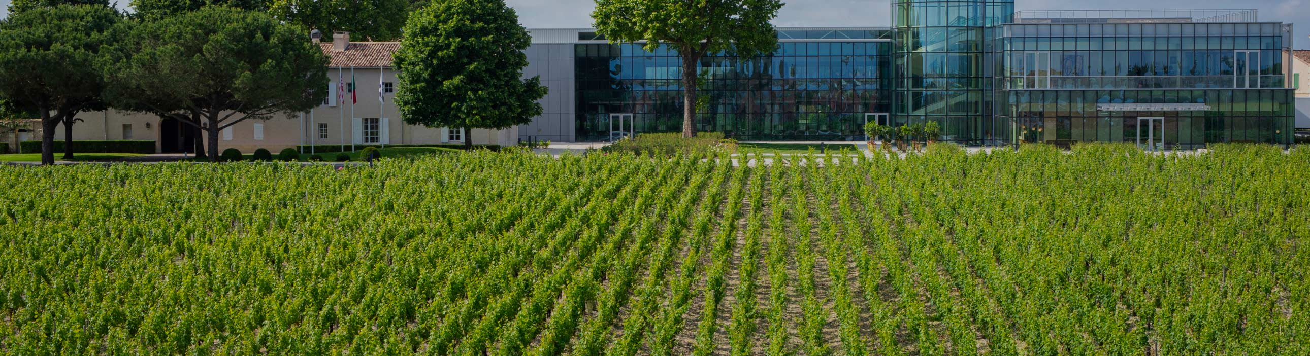 Château Lynch-Bages