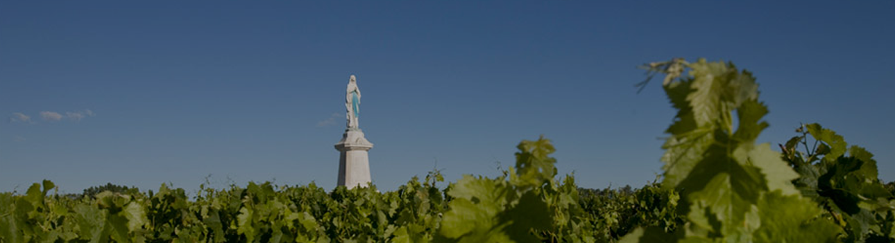 Château Tour de Mons