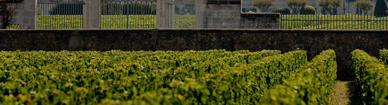 La Chapelle de La Mission Haut Brion