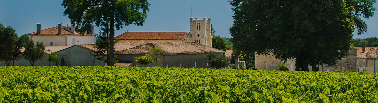 Château Potensac