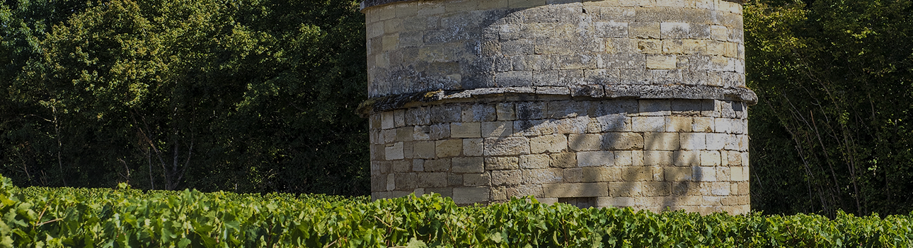 Château d'Aiguilhe